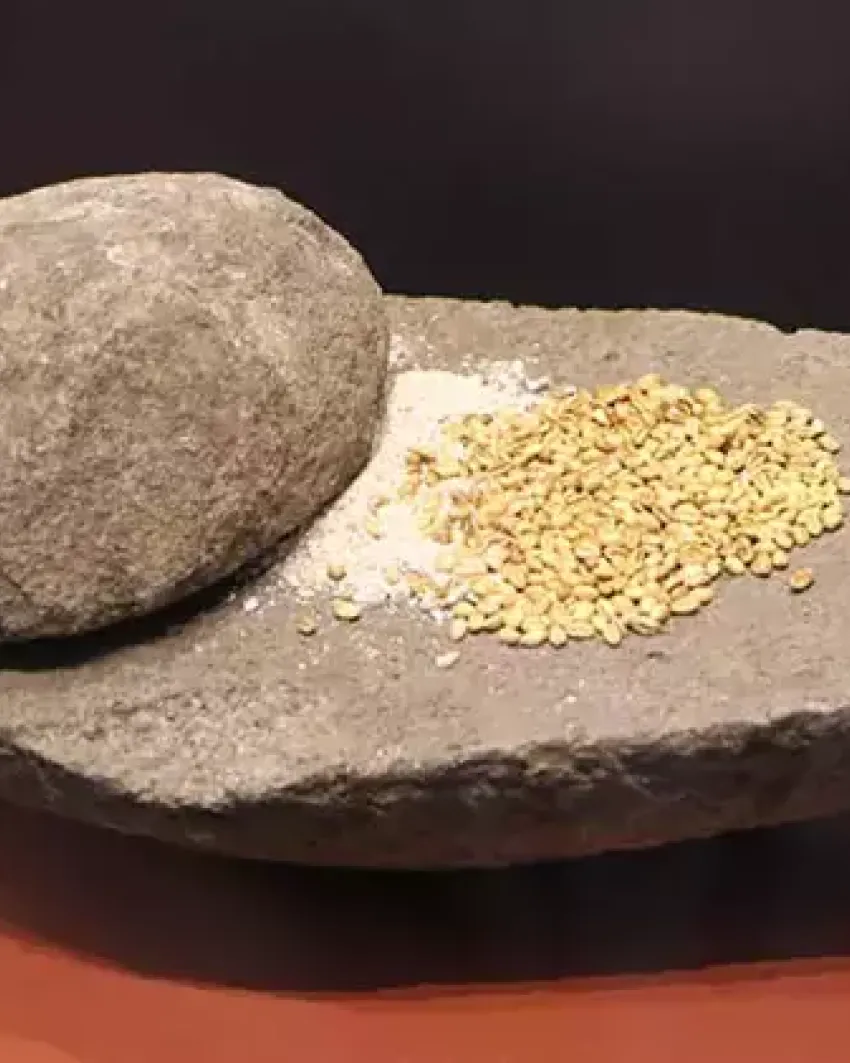 Oymaağaç Höyüğü kazılarında 3 bin yıllık fındık kabuğu bulundu