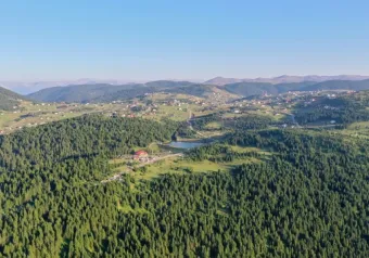 Trabzon'daki 'Haçka Yaylası' doğaseverlerin rotasında